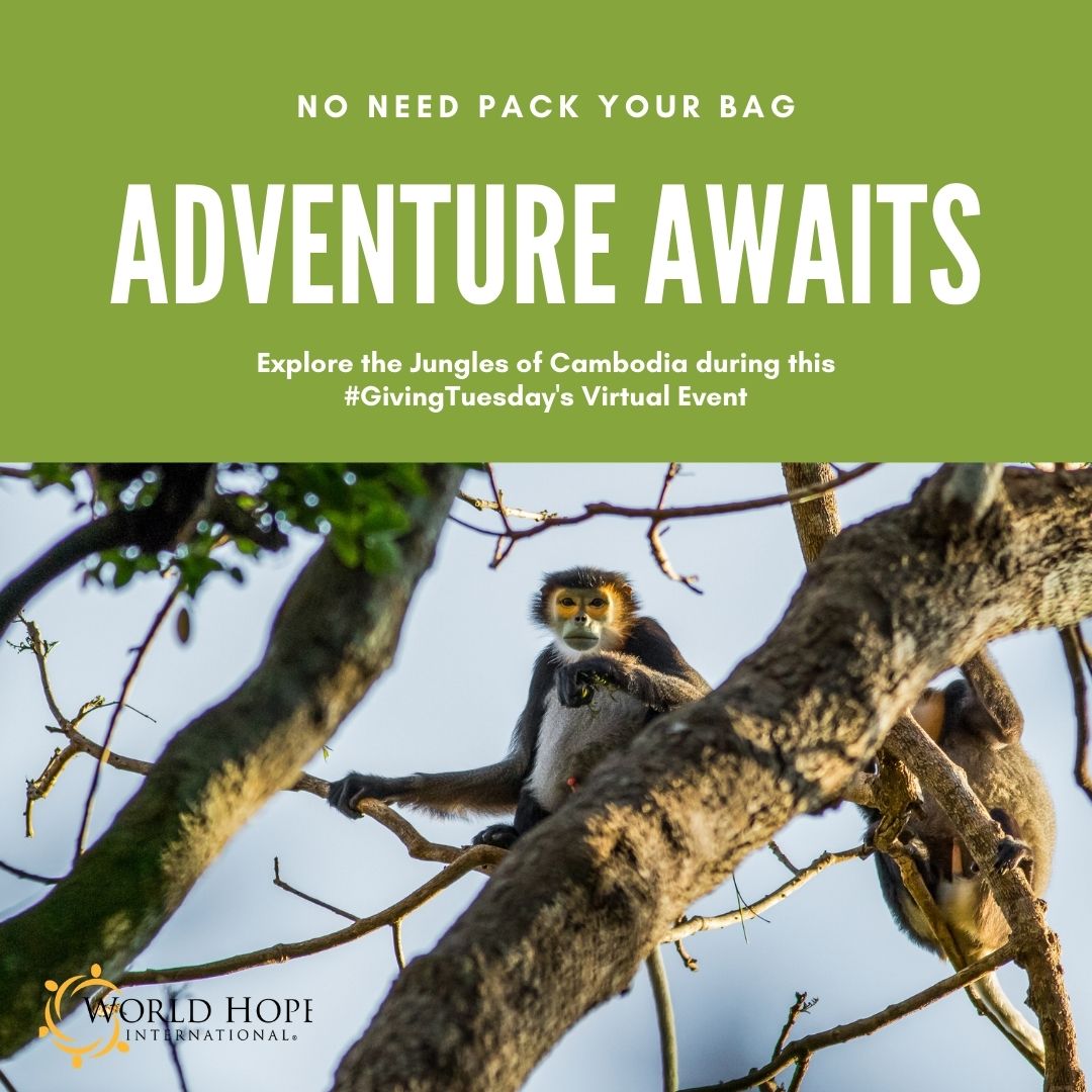 Adventure Awaits Adventure Awaits